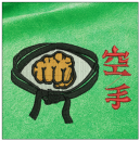 Karate embroidery on green